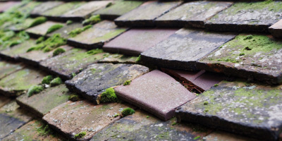 Llanbeder roof repair costs